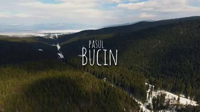 Pasul Bucin