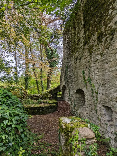 Burgruine Weisswasserstelz