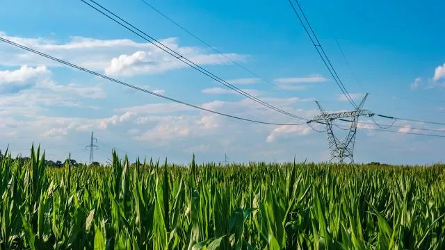 Aioiyama Ryokuchi Park