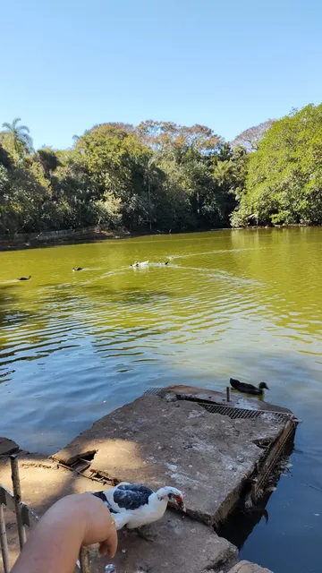 Municipal Park Novo Horizonte