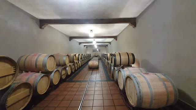 Bodega Monasterio de Corias