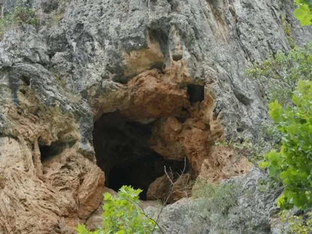 photo-1