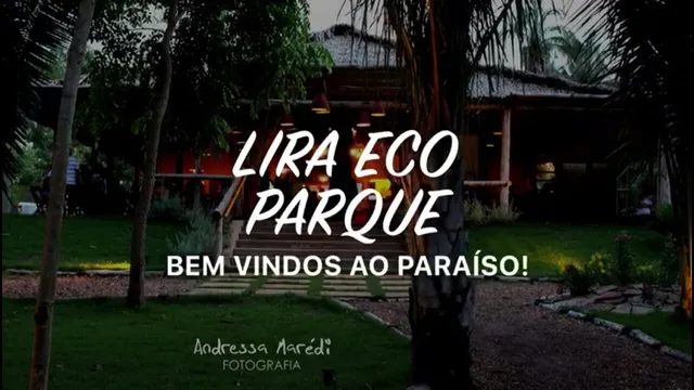 Região Geográfica Imediata de Amarante - Água Branca - Regeneração