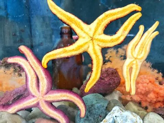 Bonne Bay Marine Station