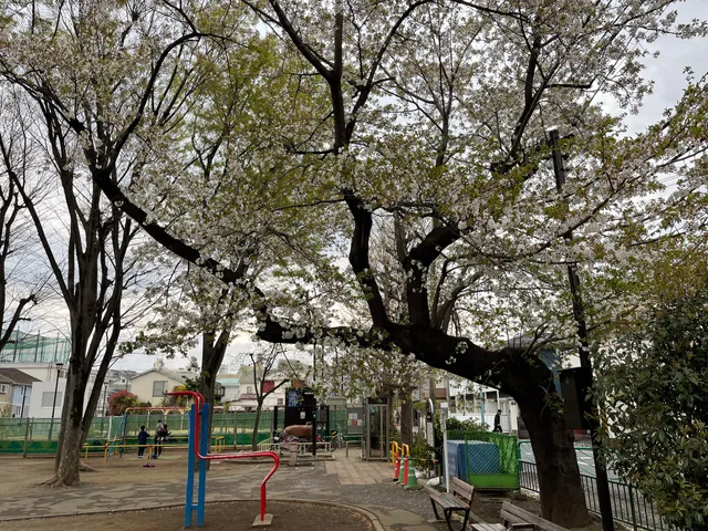 Sekine Culture Park