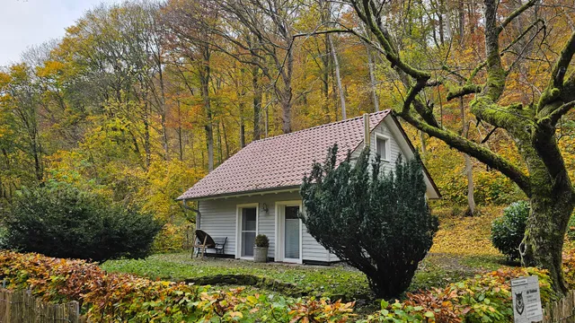 das Waldhaus