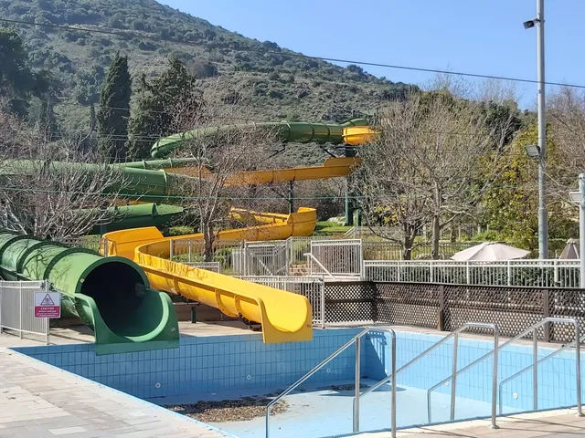 גרייט שייפ נשר