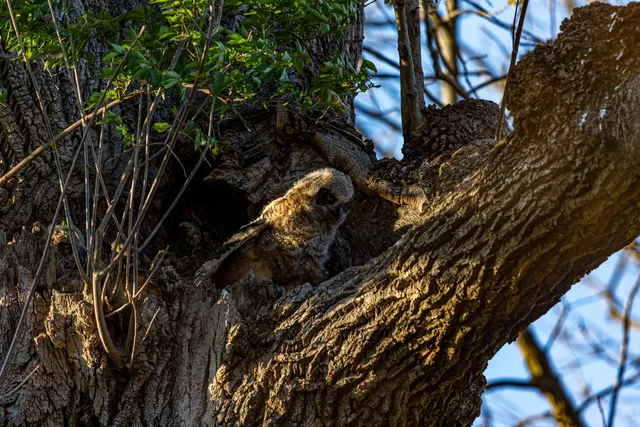 Louisville Parks and Recreation