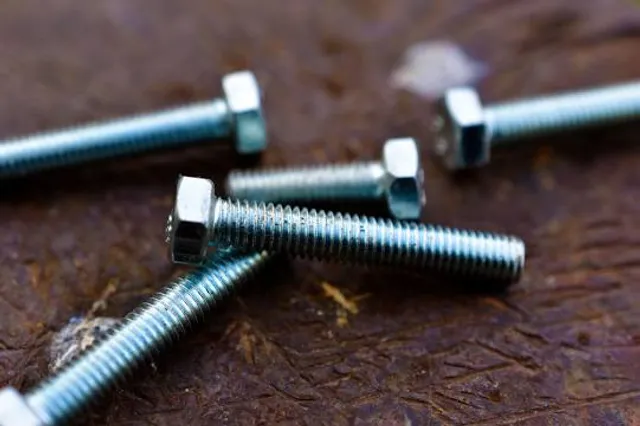 Encina de las Tres Patas