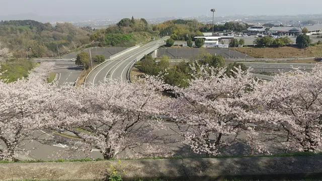 Ishizuchi Highway Oasis