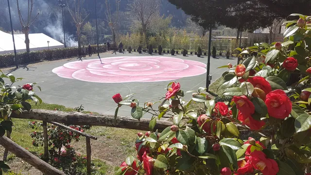 Centro culturale del Compitese (S.R.L.)