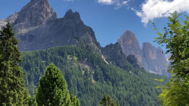 Ente Parco Paneveggio Pale Di San Martino