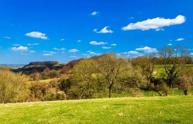 Sundon Hills Country Park
