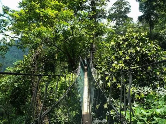 Taman Negara