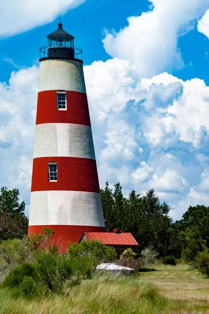 Sapelo Island Wildlife Management Area