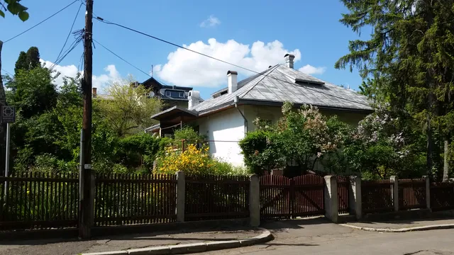 photo-3