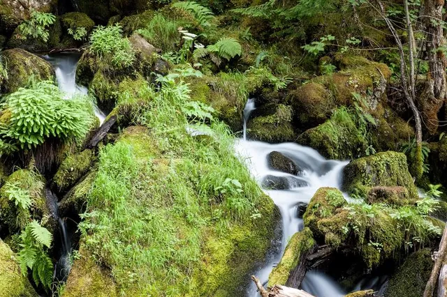 Deschutes Falls Park