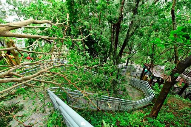 Konni Reserve Forest