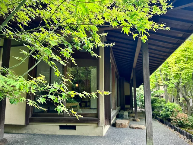 photo-1