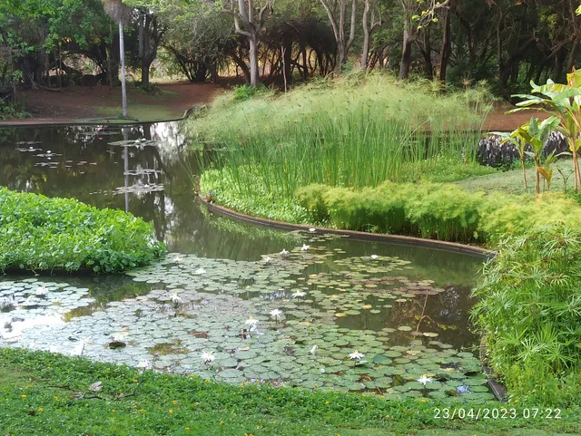 Jardín Botánico de Maracaibo