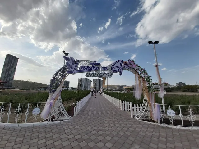 Lavanta ve Gül Bahçesi