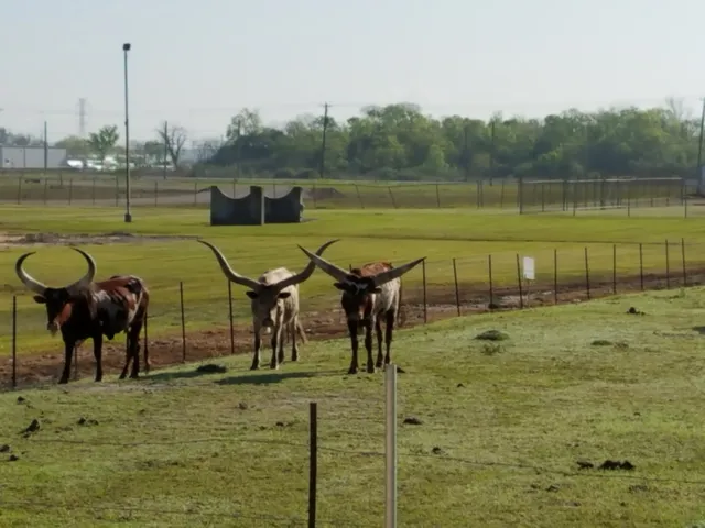 American Cowboy Museum