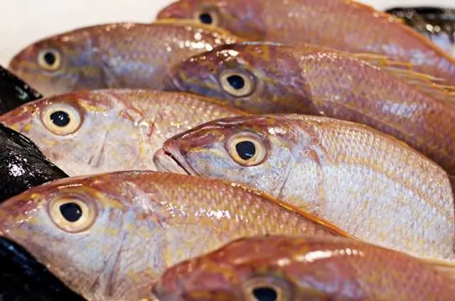 Memphis Music Hall of Fame