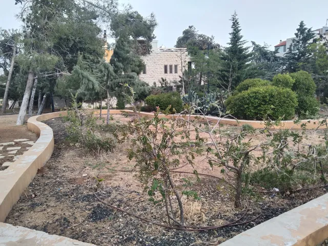 Zahran Park