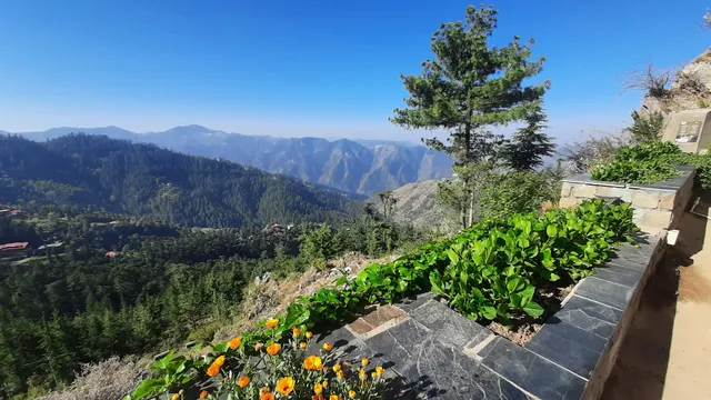 Pristine peak, Naldera, HP