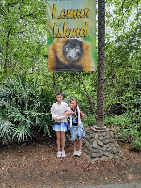 Lemur Island Habitat