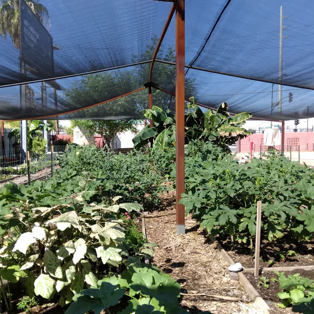Society of St Vincent de Paul - Mesa Dining Room
