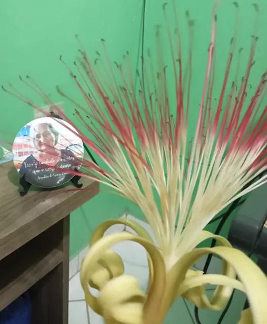 Panificadora e Lanchonete Laís