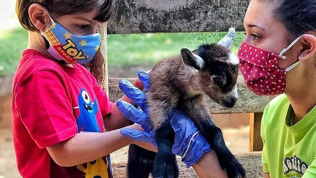 Bichomania Parque Fazenda - Fazendinha