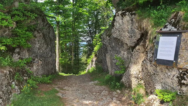 photo-3