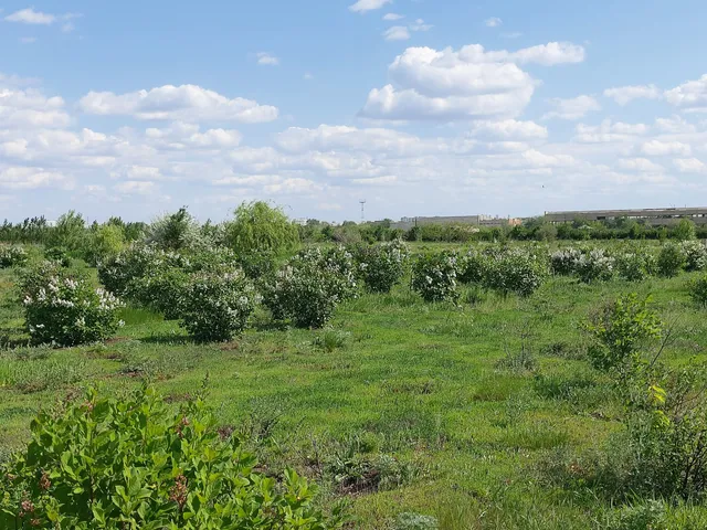 Botanicheskiy Sad Ogu