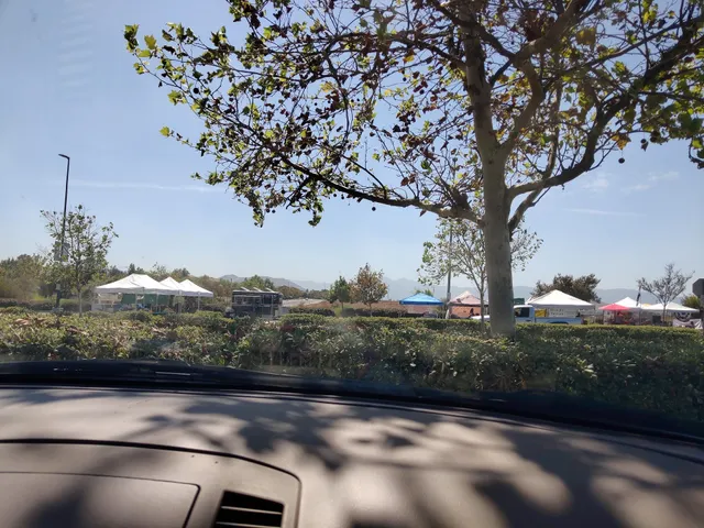 The Valley Patch Farmers Market