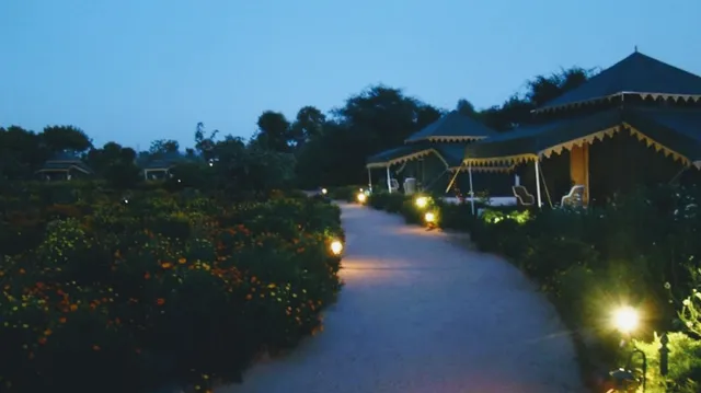 Orchard - Tents and Tranquility