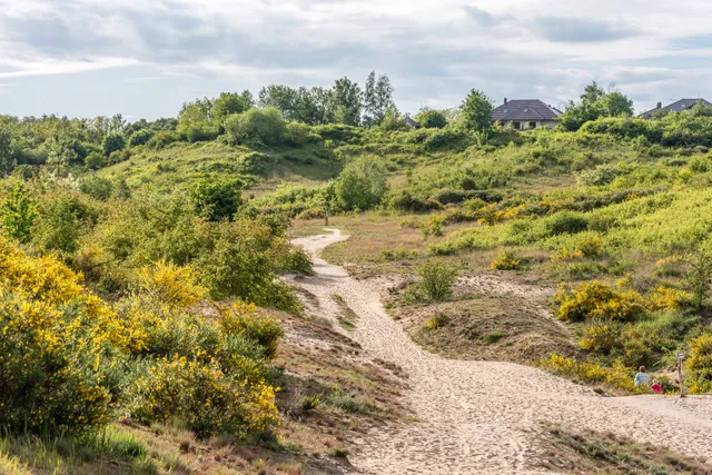 Gorzów Grasslands Nature Reserve
