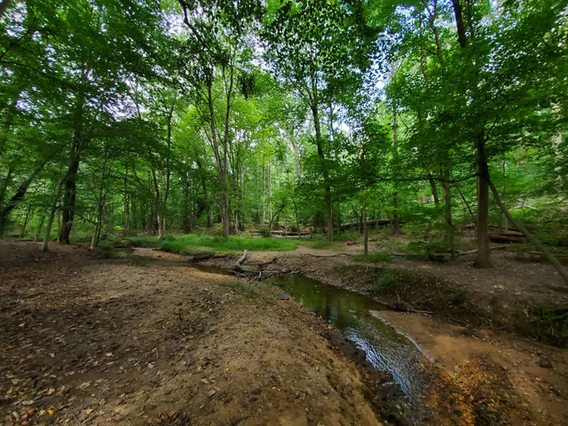 Saddler's Woods Conservation Association