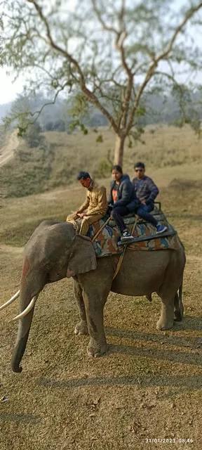 Pobitora Elephant safari Point