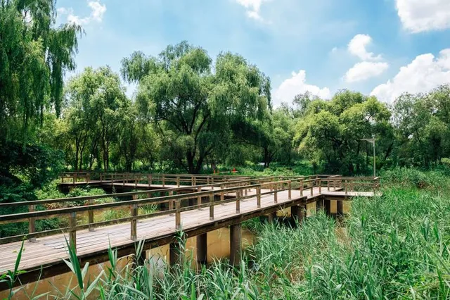 Yeouido Saetgang Ecological Park
