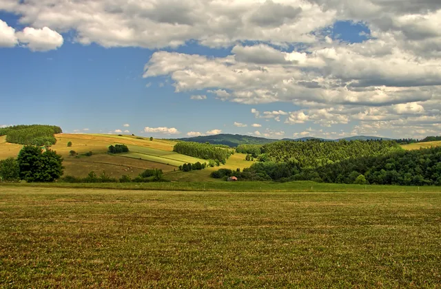 Grodzisko Walik w Brzezowej