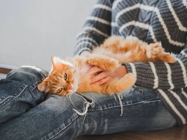 Musée Archéologique