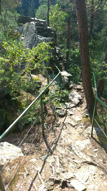 Zřícenina hradu Sokolov