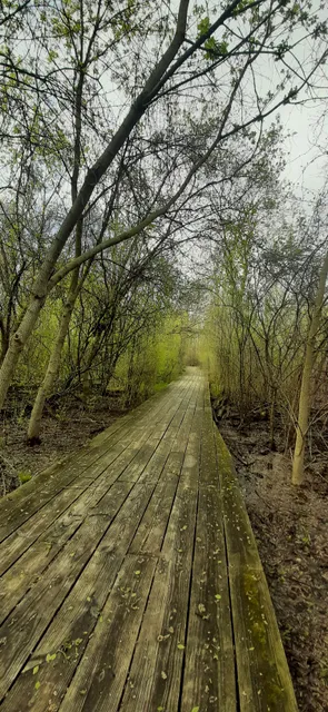 Nicholson Nature Center