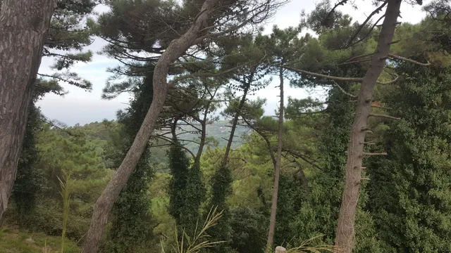 Colli San Rizzo Hiking Experiences