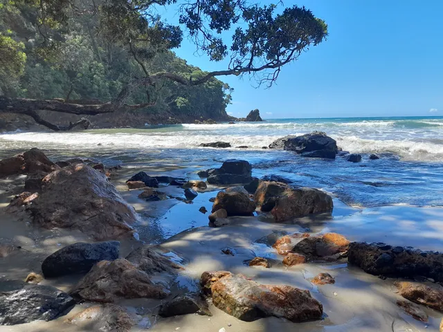 Waihi Beach Lifeguard Services Incorporated