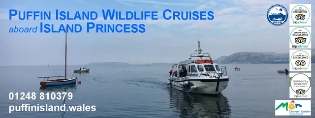 Starida Puffin Island Cruises and Sea Fishing Trips