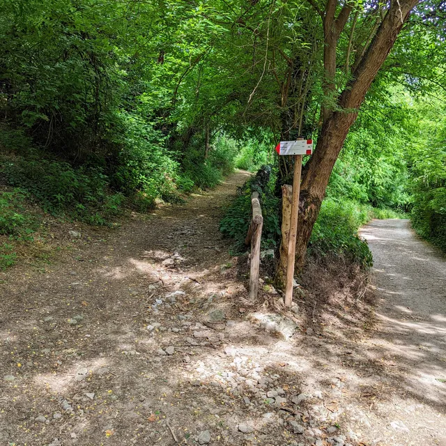 Sentiero n. 16 del Monte Rosso