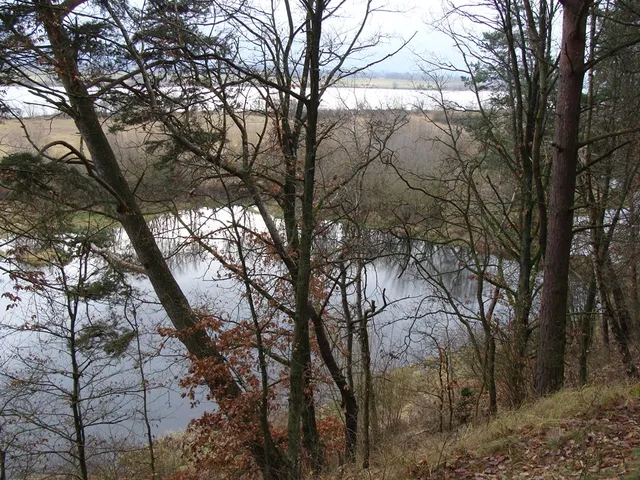 Rezerwat przyrody Wiosło Duże